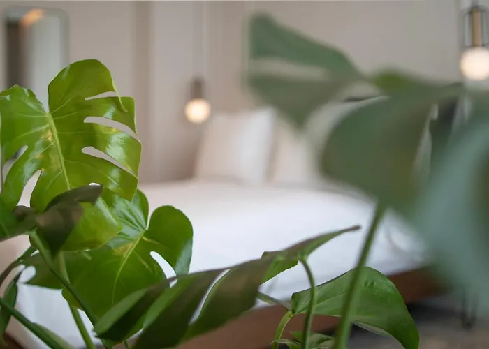 Mythodea Athens Suites