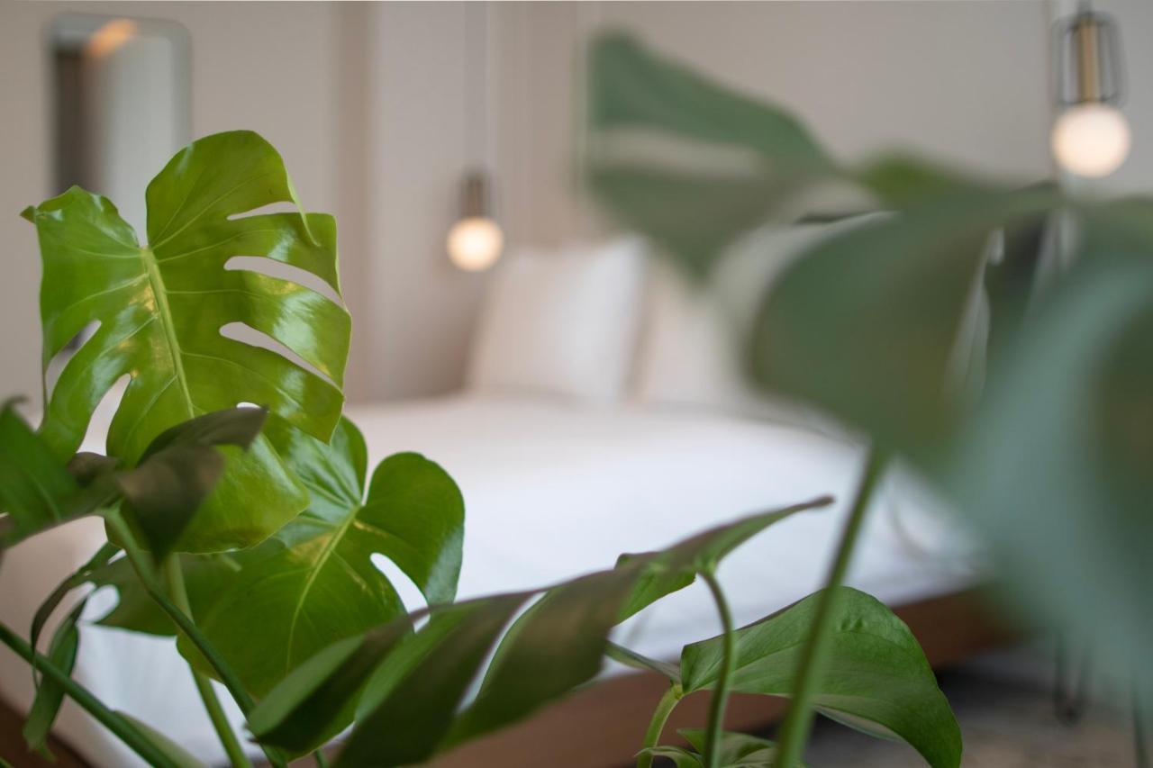 Apartament Mythodea Ateny