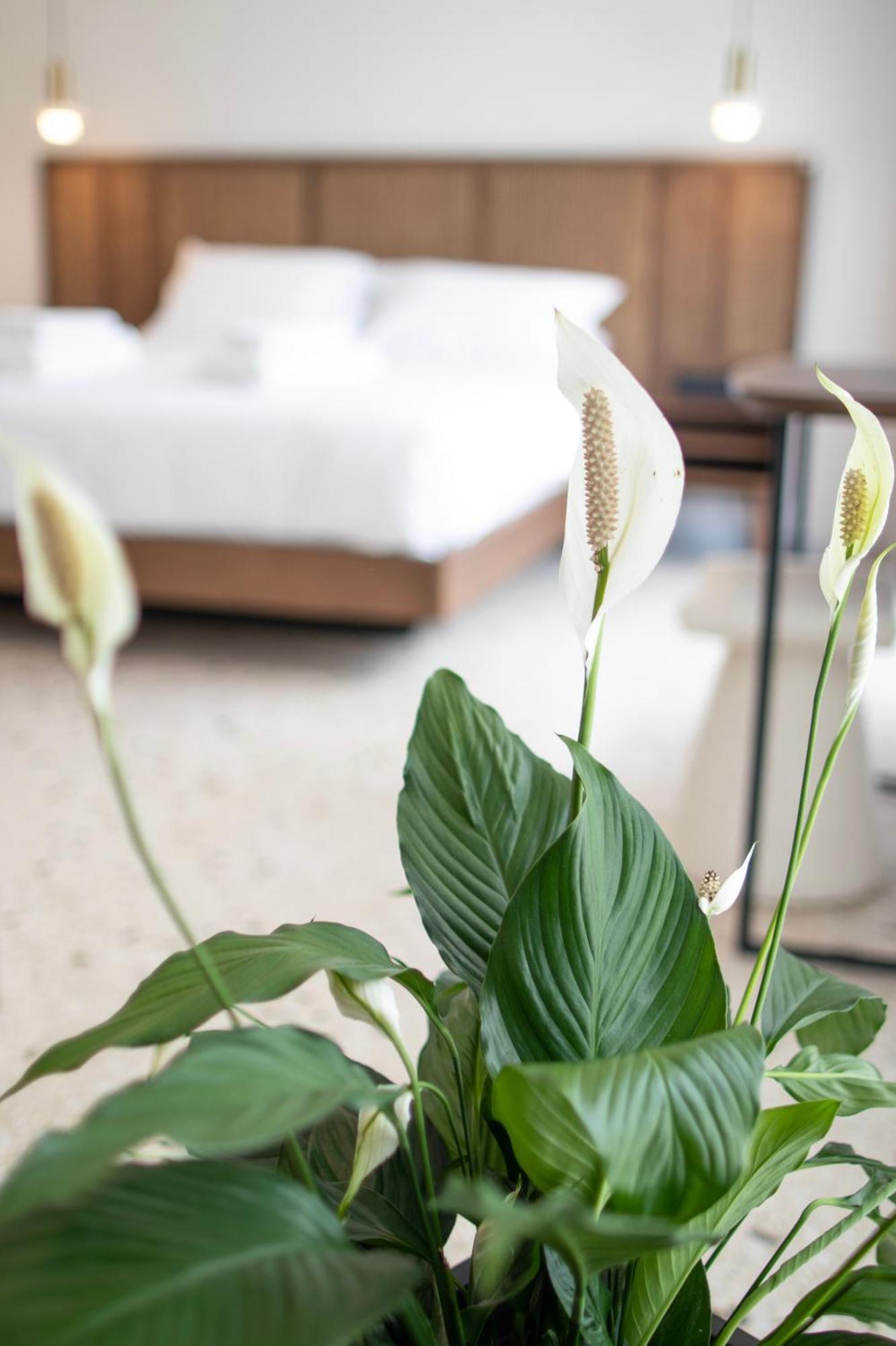 Apartament Mythodea *